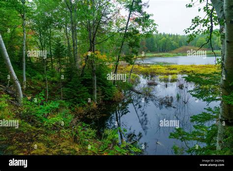 Views Of Ingonish Beach And Freshwater Lake In Cape Breton Highlands