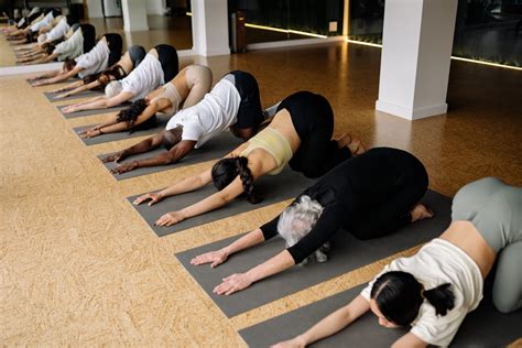 People Doing Stretching in Yoga Class · Free Stock Photo