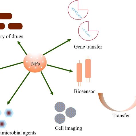 The major applications of nanoparticles. | Download Scientific Diagram