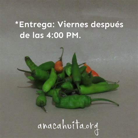 chile pico de pajaro  gr anacahuita ecotienda monterrey