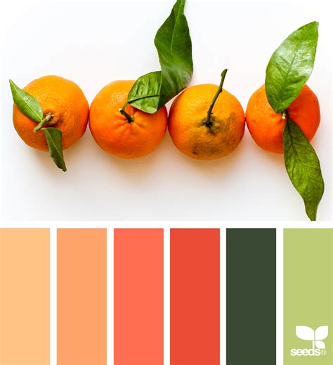 Design Seeds Colorpalette Colorpalettes Kleuren Kleur