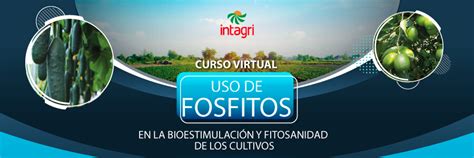 Curso Virtual Uso De Fosfitos En La Bioestimulaci N Y Fitosanidad De