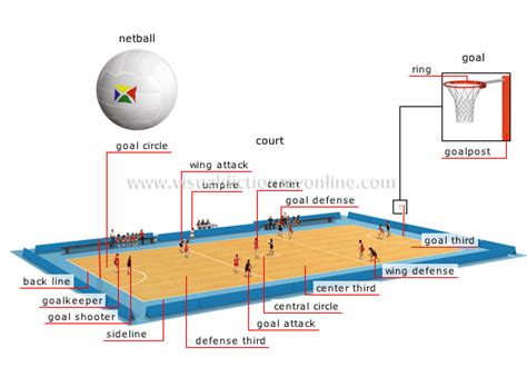 SPORTS & GAMES :: BALL SPORTS :: NETBALL image - Visual Dictionary Online