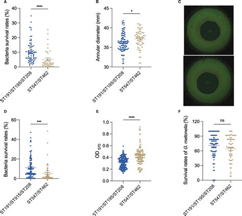 Frontiers Phenotypic And Genomic Comparison Of Dominant And