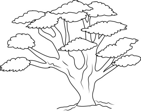 Free Tree Png Outline, Download Free Tree Png Outline png images, Free ClipArts on Clipart Library