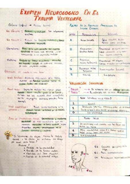 Examen Neurológico en el Trauma Vertebral Semiología Damaris Quispe