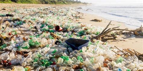 Journée De Lenvironnement 2023 à Abidjan Cap Sur La Pollution