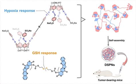 An Antitumor Dual‐responsive Host‐guest Supramolecular Polymer Based On