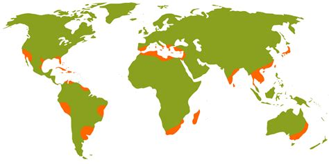 World Citrus Production Areas Weather And Citrus