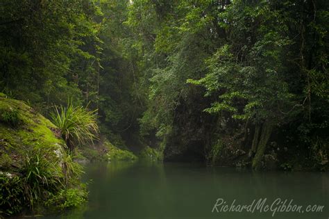 Barrington Tops World Heritage National Park - Richard McGibbon Photography