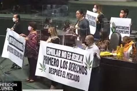 Discuten en San Lázaro regulación de cannabis La Prensa de Coahuila