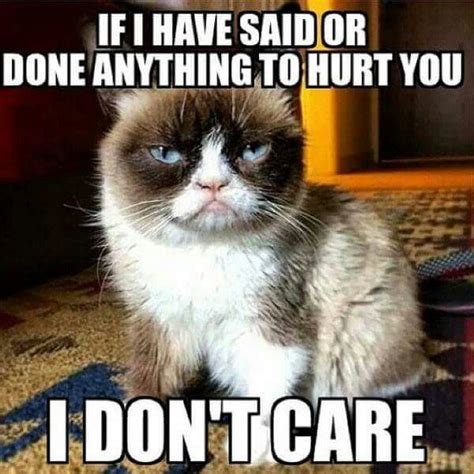 Pin By Feligatre On Yes I M Grumpy So Grumpy Cat Meme Funny Grumpy Cat Memes Funny