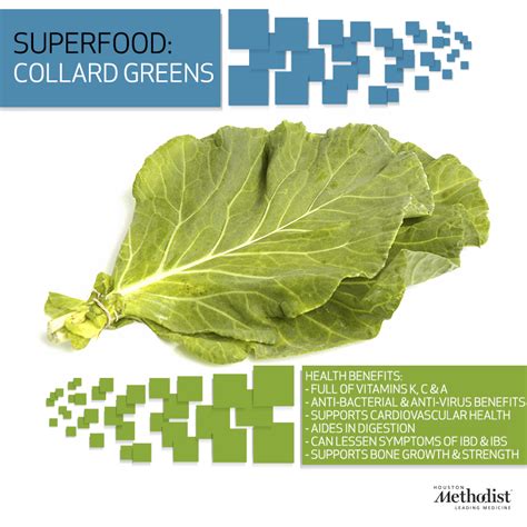 Collard Greens Benefits - SAM Vegetable