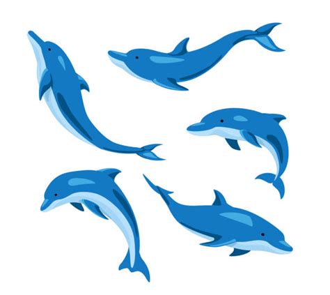 Submarine Dolphin Clipart Icons