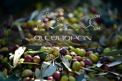 Benefits Of Oleuropein Interstellar Blends Activate Your Super Powers