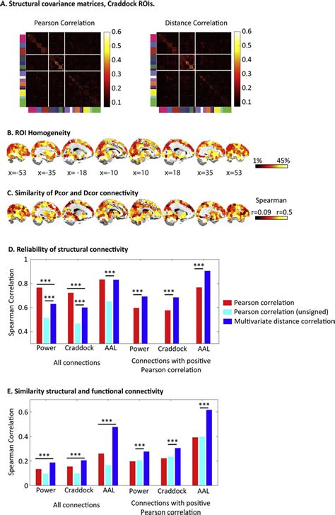 A Matrices Of Functional Connectivity And Structural Connectivity For