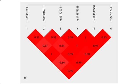 Pairwise Linkage Disequilibrium Ld Plot For The Common Variants In