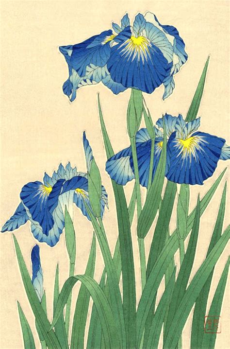 Japanese Art Flowers Floral Plants Botanical Art Prints - Etsy