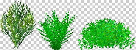 Clipart Shrubbery 10 Free Cliparts Download Images On Clipground 2024