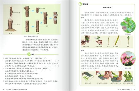 2020八年级下册生物书人教版电子书 2020八年级下册生物电子课本高清版 东坡下载