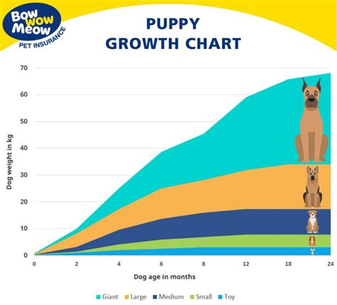 Puppy Development Stages: Newborn Milestones & Growth Charts