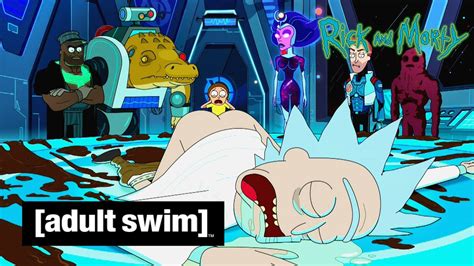 Adult Swim Vf Rick Et Morty 🇫🇷 Revancheurs 3 Finisseurdemondes