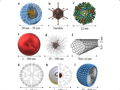 Liposome Vs Lipid Nanoparticle