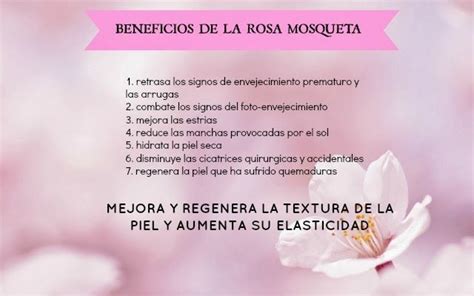 Aceite Rosa Mosqueta Propiedades Y Beneficios