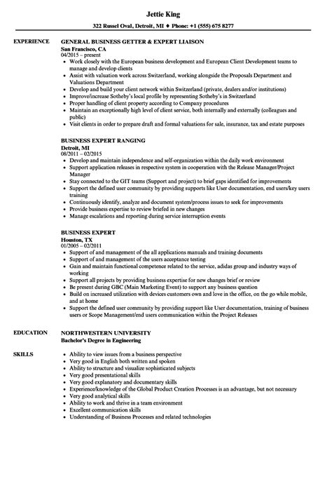 Business Expert Resume Samples Velvet Jobs