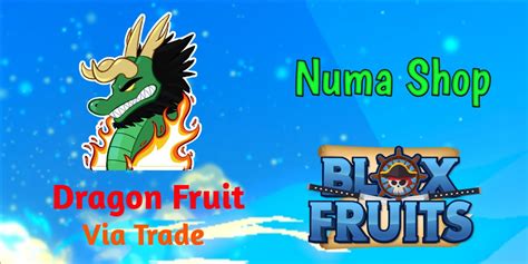 Beli Fruit Dragon Fruit Blox Fruit Via Trade Blox Fruits Roblox