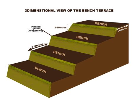 Bench Terracing