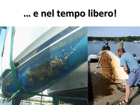 Linsalata Era Nellorto Lorto A Scuola E Nel Tempo Libero Ediz Illustrata 4