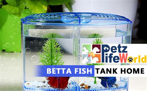 Vayinato Betta Fish Tank Home Aquarium Cm X Cm X Cm Small Mini