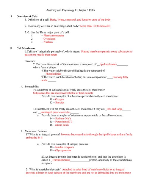 Solution Practice Test Anatomy And Physiology The Human Cell Worksheets Library