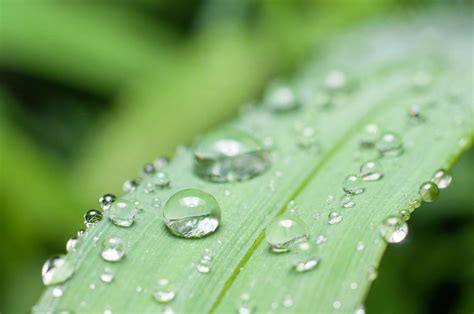 Meteorología anuncia lluvias y temperaturas suaves en Huelva