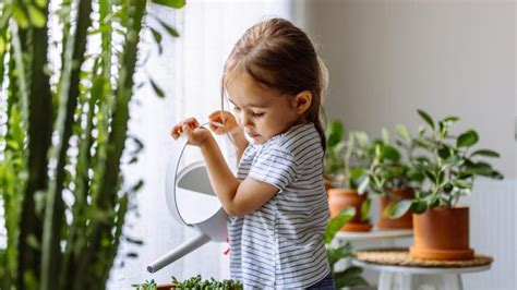 6 benefícios de ensinar as crianças a cuidar das plantas