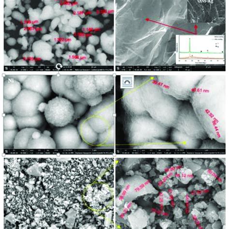 Sem Bse Micrograph Of Pure Al Gns Electroless Deposited Ni And