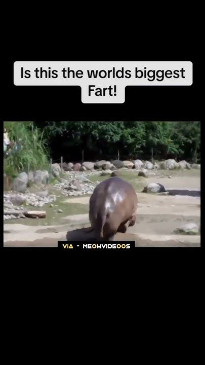 Worlds Biggest Fart 🧐😯😯😯shortsworldbiggestytshorts Funny Youtube