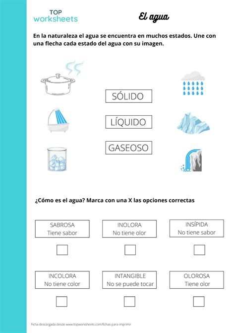 El Agua Ficha Para Imprimir TopWorksheets