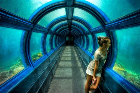 Last Flight Out Photography: Underwater Tunnel