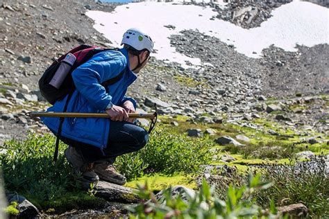 Tripadvisor Whistler Glacier Discovery Tour Aangeboden Door Mountain