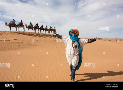 Camel caravan in the Sahara Desert, Morocco Stock Photo - Alamy