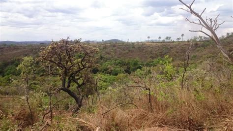 Fazenda Sítio 1500 m² em Veredas da Serra em Juatuba por R 67 000