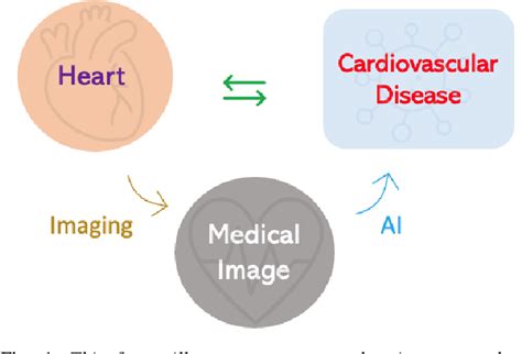 Figure 1 From Artificial Intelligence In Image Based Cardiovascular