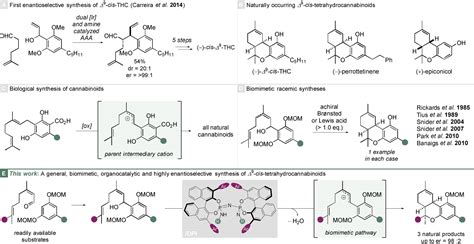 Br Nsted Acid Catalyzed Asymmetric Synthesis Of Cis