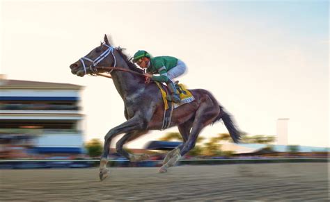 The Biggest Race Day Of The Year in South Florida - Florida Derby