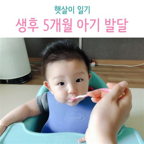 생후 5개월 아기 발달 기록 수유량 수면패턴 놀이 쏘서 사용시기 배냇머리 자르기 이유식 첫니 분리불안 네이버 블로그