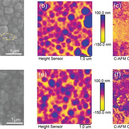 A D Top View SEM Image B E AFM Image And C F CAFM Image For Sb2S3