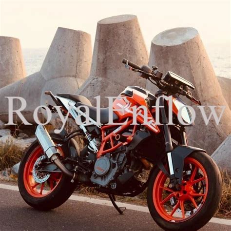 KTM Barrel Silver Rogue Exhaust For DUKE 390 BS4 EBay