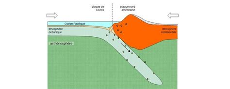 Sujets du DNB SVT Académie de Besançon